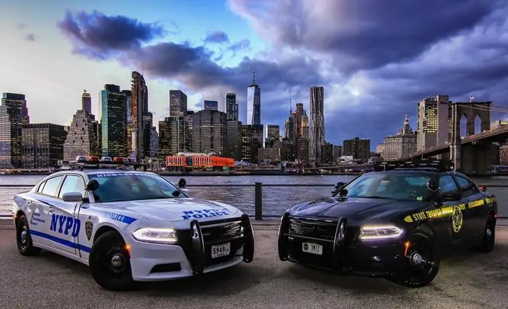 Two police cars parked in front of a city skyline.